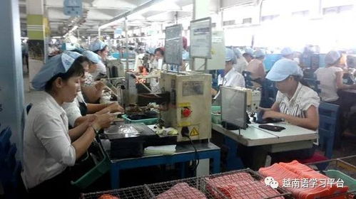 越南鞋業寒冬 老牌企業裁員近3000人，折射社會經濟深層挑戰
